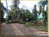 Bosque Municipal F�bio Barreto - Zool�gico. - Fonte: 