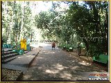 Bosque Municipal F�bio Barreto - Zool�gico. - Fonte: 