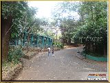 Bosque Municipal F�bio Barreto - Zool�gico. - Fonte: 