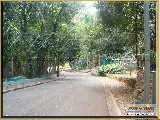 Bosque Municipal F�bio Barreto - Zool�gico. - Fonte: 