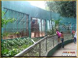 Bosque Municipal F�bio Barreto - Zool�gico. - Fonte: 