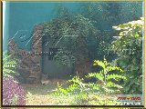 Bosque Municipal F�bio Barreto - Zool�gico. - Fonte: 