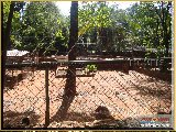 Bosque Municipal F�bio Barreto - Zool�gico. - Fonte: 