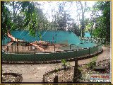 Bosque Municipal F�bio Barreto - Zool�gico. - Fonte: 