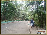 Bosque Municipal F�bio Barreto - Zool�gico. - Fonte: 