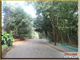Bosque Municipal F�bio Barreto - Zool�gico. - Fonte: 