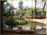 Bosque Municipal F�bio Barreto - Zool�gico. - Fonte: 