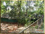 Bosque Municipal F�bio Barreto - Zool�gico. - Fonte: 