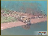 Bosque Municipal F�bio Barreto - Zool�gico. - Fonte: 