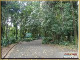 Bosque Municipal F�bio Barreto - Zool�gico. - Fonte: 