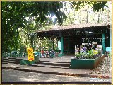 Bosque Municipal F�bio Barreto - Zool�gico. - Fonte: 