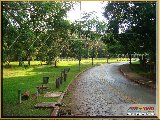 Biblioteca Central do C�mpus da USP Ribeir�o Preto - Fonte: 
