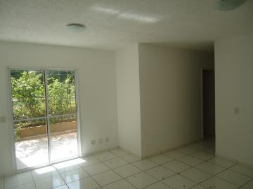 Apartamento térreo padrão, bairro Republica, Zona Sul, Ribeirão Preto SP