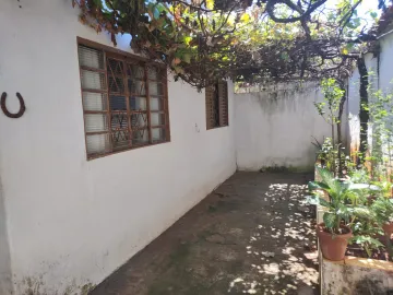 Casa padrão, Adelino Simioni, Zona Norte, Ribeirão Preto Sp