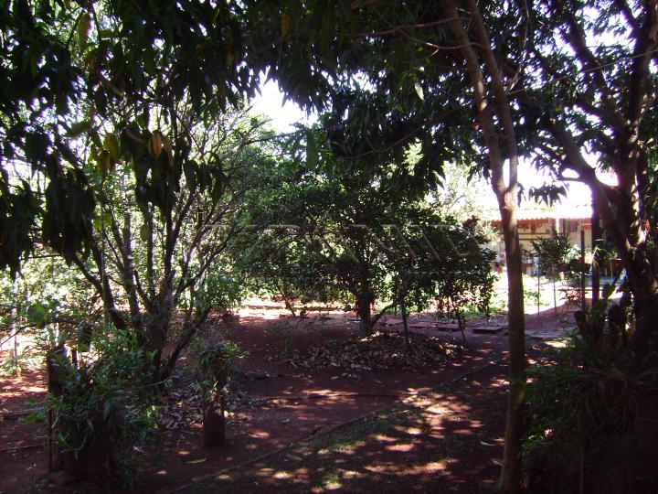Comprar Casa / Condomínio em Jardinópolis R$ 1.170.000,00 - Foto 27 Comprar Casa / Condomínio em Jardinópolis R$ 1.170.000,00 - Foto 27