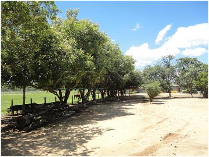 Comprar Rural / Sítio em Serra Azul apenas R$ 3.100.000,00 - Foto 14 Comprar Rural / Sítio em Serra Azul apenas R$ 3.100.000,00 - Foto 14