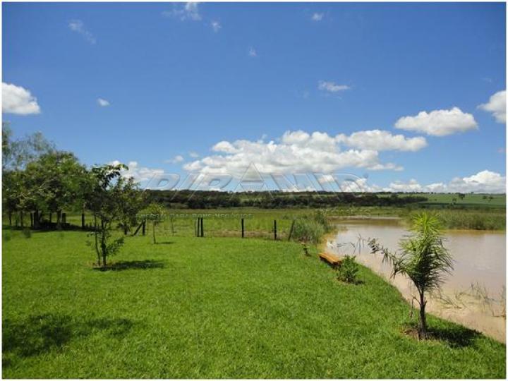 Comprar Rural / Sítio em Serra Azul apenas R$ 3.100.000,00 - Foto 9 Comprar Rural / Sítio em Serra Azul apenas R$ 3.100.000,00 - Foto 9