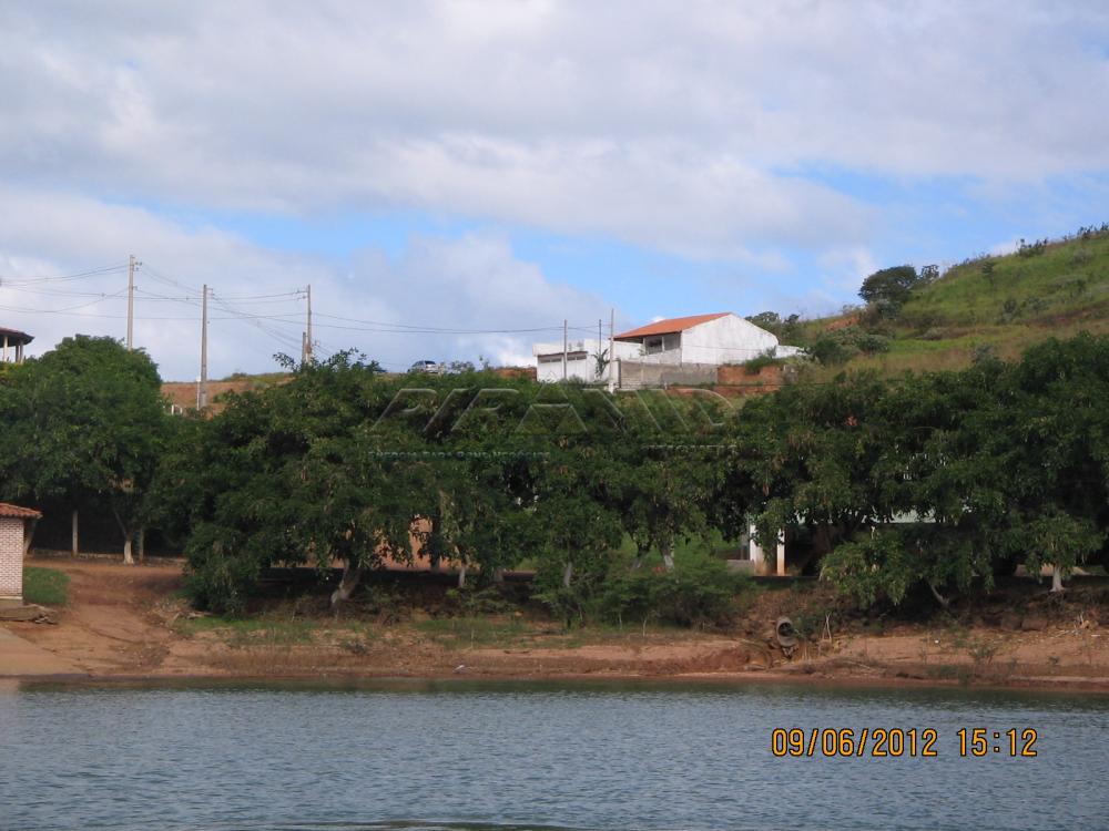 Comprar Casa / Padrão em São José da Barra apenas R$ 240.000,00 - Foto 24 Comprar Casa / Padrão em São José da Barra apenas R$ 240.000,00 - Foto 24