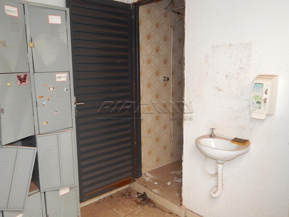 Alugar Casa / Padrão em Ribeirão Preto apenas R$ 1.800,00 - Foto 13 Alugar Casa / Padrão em Ribeirão Preto apenas R$ 1.800,00 - Foto 13