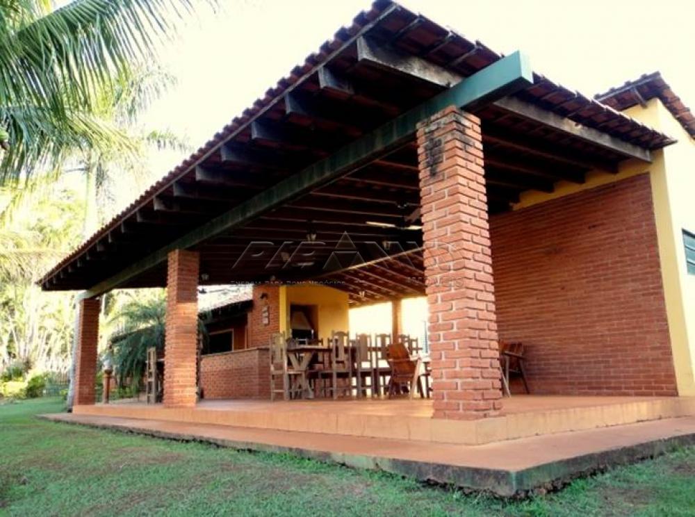 Comprar Rural / Chácara em Ribeirão Preto apenas R$ 850.000,00 - Foto 11 Comprar Rural / Chácara em Ribeirão Preto apenas R$ 850.000,00 - Foto 11