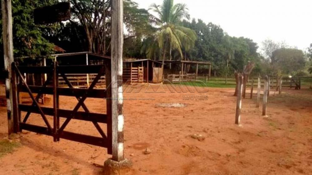 Comprar Rural / Chácara em Ribeirão Preto apenas R$ 850.000,00 - Foto 14 Comprar Rural / Chácara em Ribeirão Preto apenas R$ 850.000,00 - Foto 14