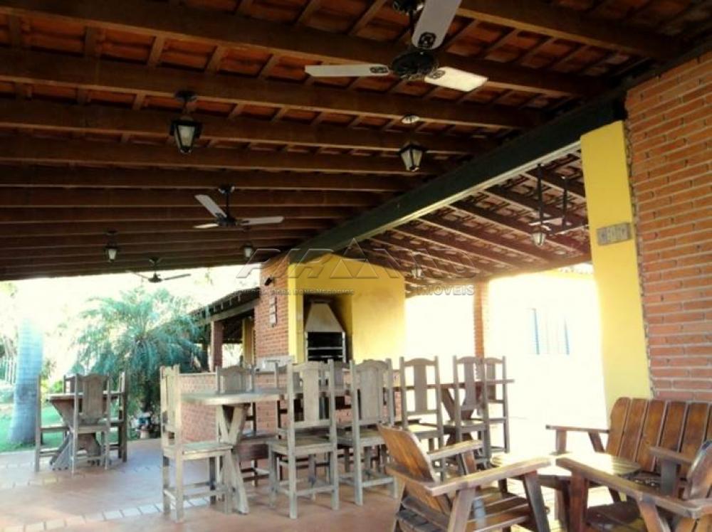 Comprar Rural / Chácara em Ribeirão Preto apenas R$ 850.000,00 - Foto 10 Comprar Rural / Chácara em Ribeirão Preto apenas R$ 850.000,00 - Foto 10
