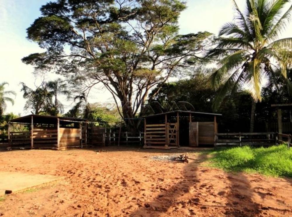Comprar Rural / Chácara em Ribeirão Preto apenas R$ 850.000,00 - Foto 16 Comprar Rural / Chácara em Ribeirão Preto apenas R$ 850.000,00 - Foto 16