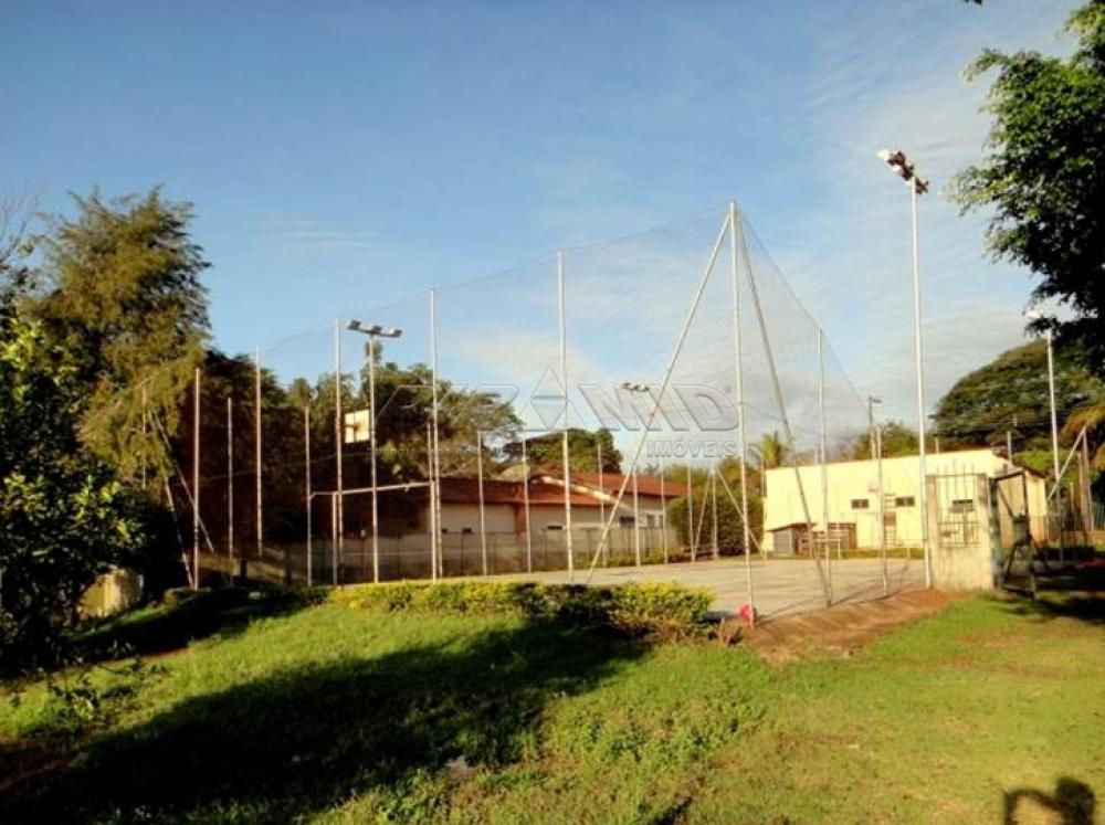 Comprar Rural / Chácara em Ribeirão Preto apenas R$ 850.000,00 - Foto 18 Comprar Rural / Chácara em Ribeirão Preto apenas R$ 850.000,00 - Foto 18