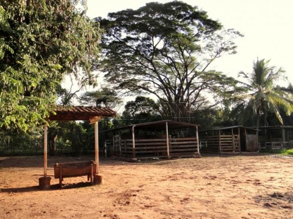 Comprar Rural / Chácara em Ribeirão Preto apenas R$ 850.000,00 - Foto 19 Comprar Rural / Chácara em Ribeirão Preto apenas R$ 850.000,00 - Foto 19