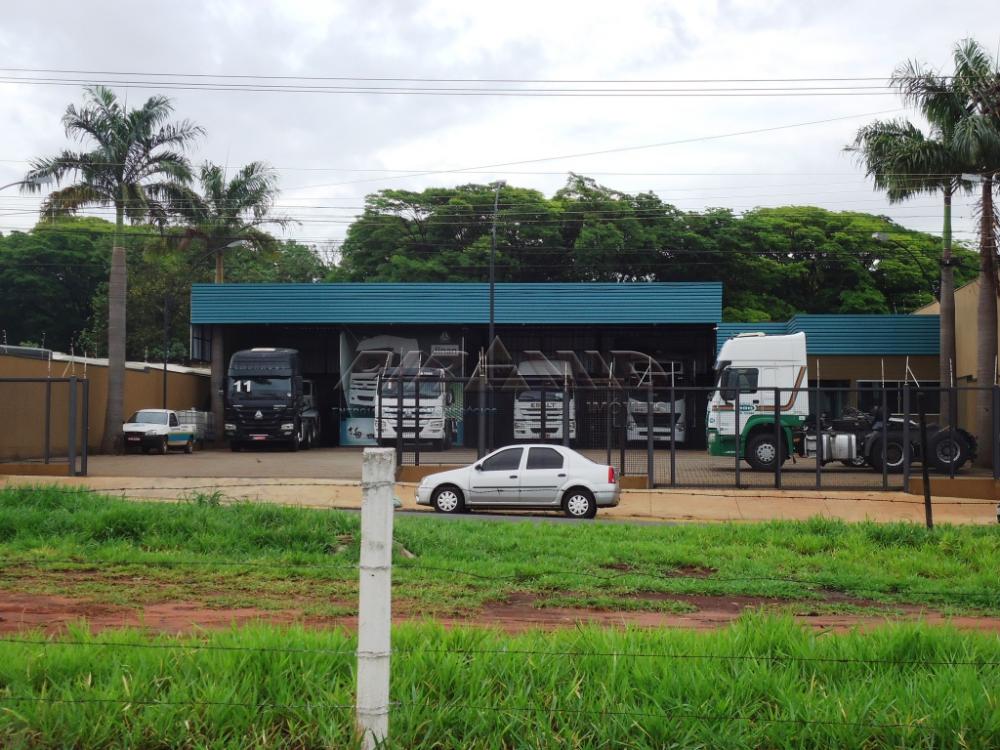 Alugar Comercial / Galpão em Ribeirão Preto apenas R$ 11.700,00 - Foto 5 Alugar Comercial / Galpão em Ribeirão Preto apenas R$ 11.700,00 - Foto 5