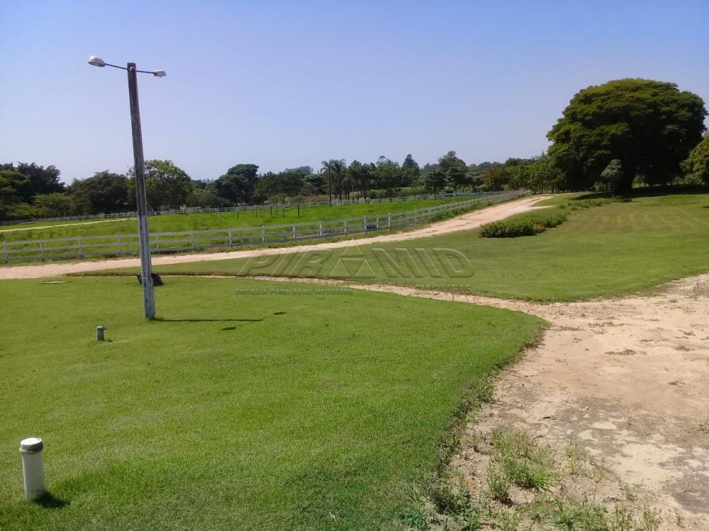 Comprar Rural / Fazenda em Descalvado apenas R$ 3.500.000,00 - Foto 3 Comprar Rural / Fazenda em Descalvado apenas R$ 3.500.000,00 - Foto 3