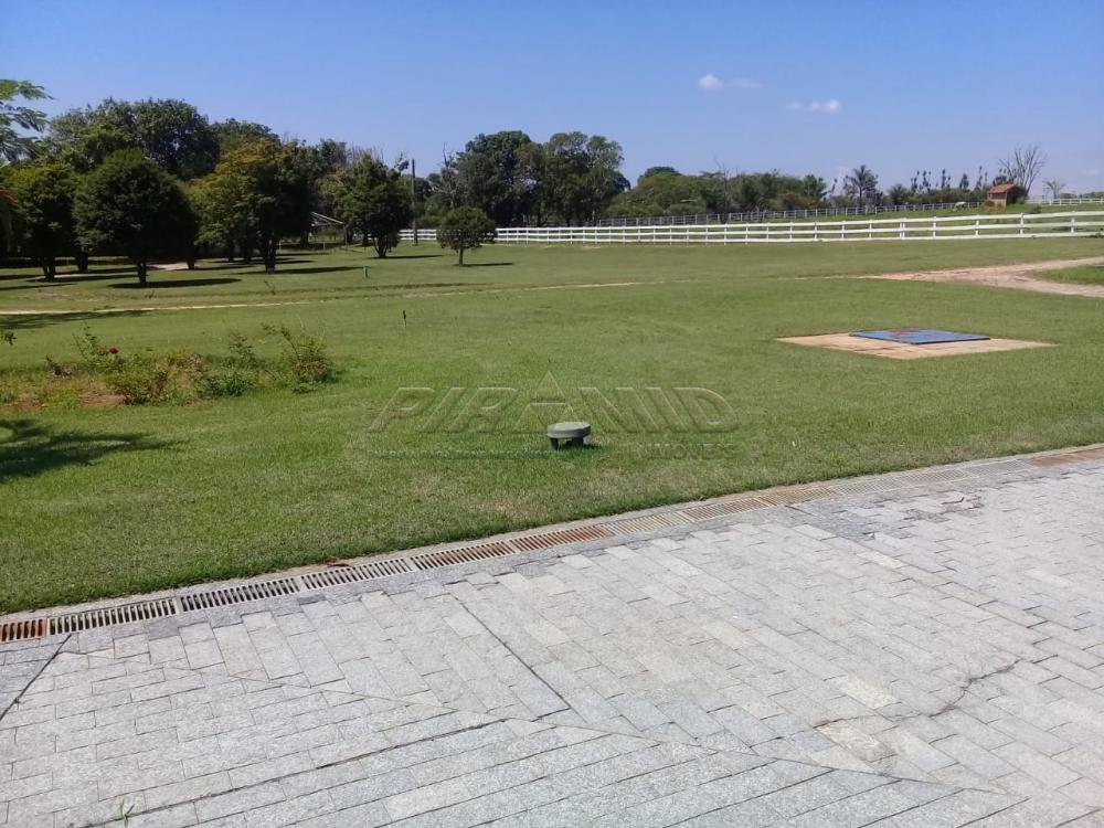 Comprar Rural / Fazenda em Descalvado apenas R$ 3.500.000,00 - Foto 4 Comprar Rural / Fazenda em Descalvado apenas R$ 3.500.000,00 - Foto 4