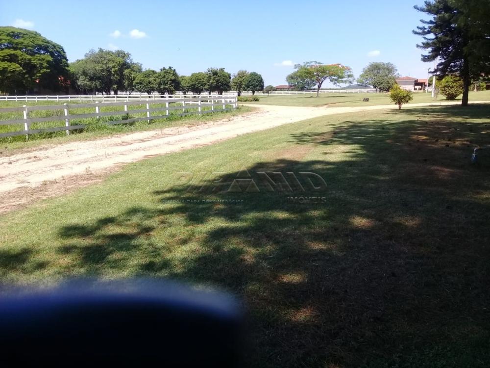 Comprar Rural / Fazenda em Descalvado apenas R$ 3.500.000,00 - Foto 5 Comprar Rural / Fazenda em Descalvado apenas R$ 3.500.000,00 - Foto 5