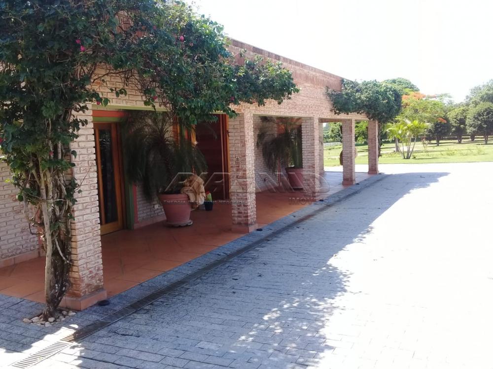 Comprar Rural / Fazenda em Descalvado apenas R$ 3.500.000,00 - Foto 10 Comprar Rural / Fazenda em Descalvado apenas R$ 3.500.000,00 - Foto 10