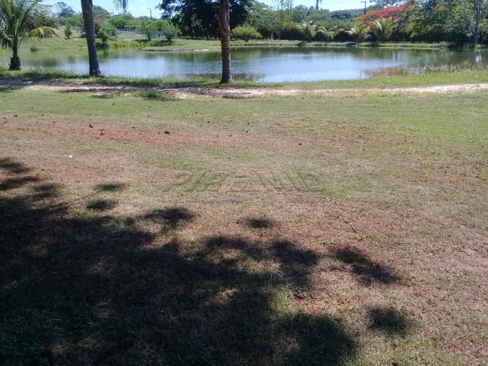Comprar Rural / Fazenda em Descalvado apenas R$ 3.500.000,00 - Foto 13 Comprar Rural / Fazenda em Descalvado apenas R$ 3.500.000,00 - Foto 13