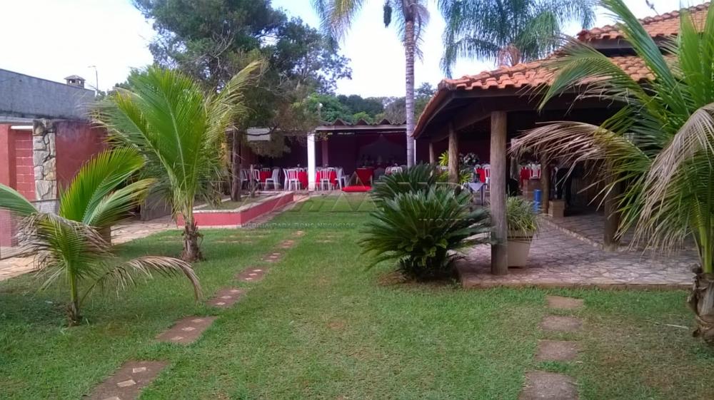 Comprar Rural / Chácara em Ribeirão Preto apenas R$ 450.000,00 - Foto 6 Comprar Rural / Chácara em Ribeirão Preto apenas R$ 450.000,00 - Foto 6