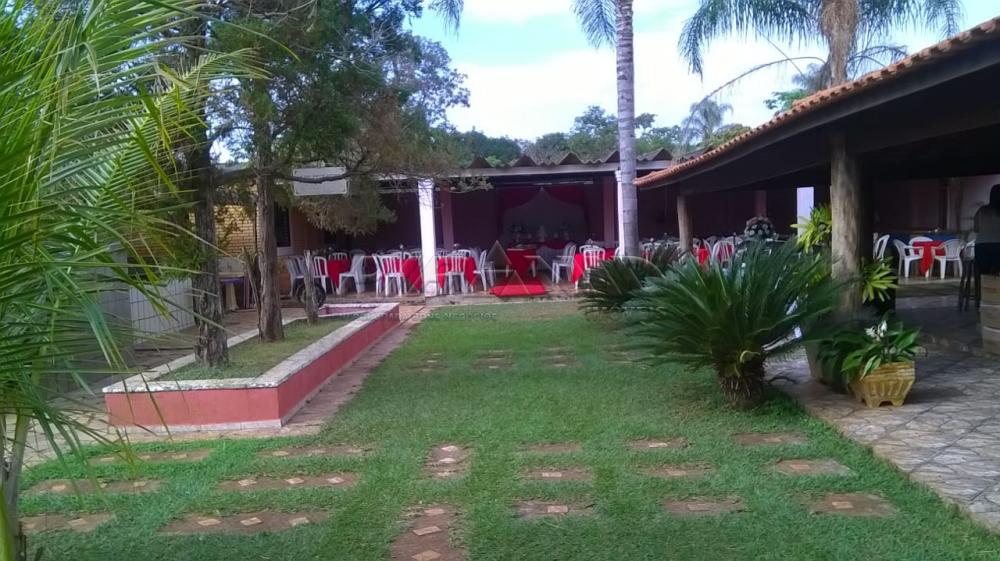 Comprar Rural / Chácara em Ribeirão Preto apenas R$ 450.000,00 - Foto 9 Comprar Rural / Chácara em Ribeirão Preto apenas R$ 450.000,00 - Foto 9