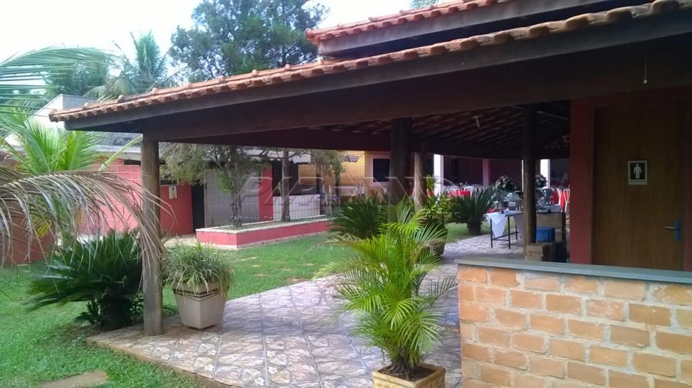 Comprar Rural / Chácara em Ribeirão Preto apenas R$ 450.000,00 - Foto 11 Comprar Rural / Chácara em Ribeirão Preto apenas R$ 450.000,00 - Foto 11