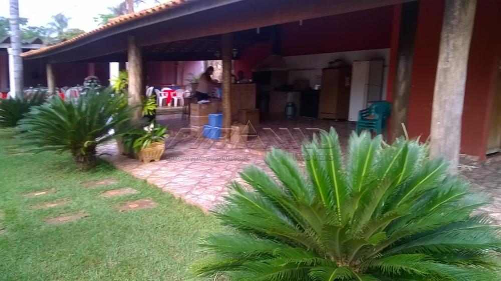 Comprar Rural / Chácara em Ribeirão Preto apenas R$ 450.000,00 - Foto 13 Comprar Rural / Chácara em Ribeirão Preto apenas R$ 450.000,00 - Foto 13