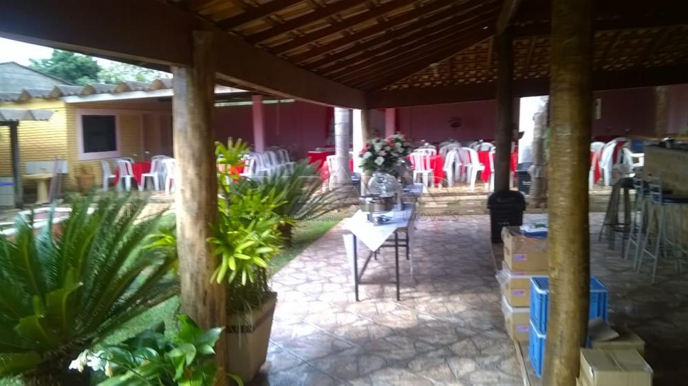 Comprar Rural / Chácara em Ribeirão Preto apenas R$ 450.000,00 - Foto 12 Comprar Rural / Chácara em Ribeirão Preto apenas R$ 450.000,00 - Foto 12