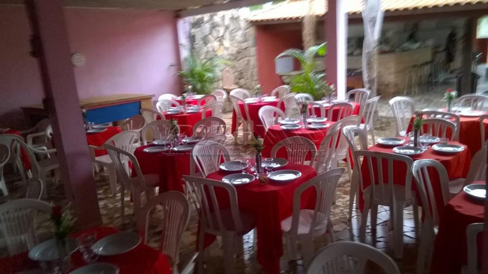 Comprar Rural / Chácara em Ribeirão Preto apenas R$ 450.000,00 - Foto 17 Comprar Rural / Chácara em Ribeirão Preto apenas R$ 450.000,00 - Foto 17