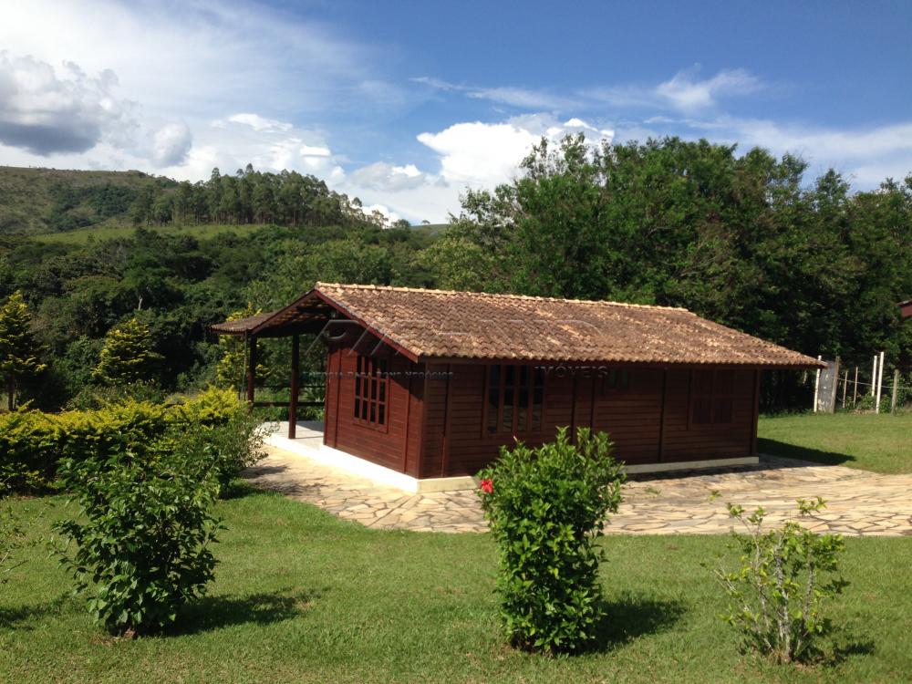 Comprar Rural / Fazenda em São João Batista do Glória apenas R$ 3.500.000,00 - Foto 1 Comprar Rural / Fazenda em São João Batista do Glória apenas R$ 3.500.000,00 - Foto 1