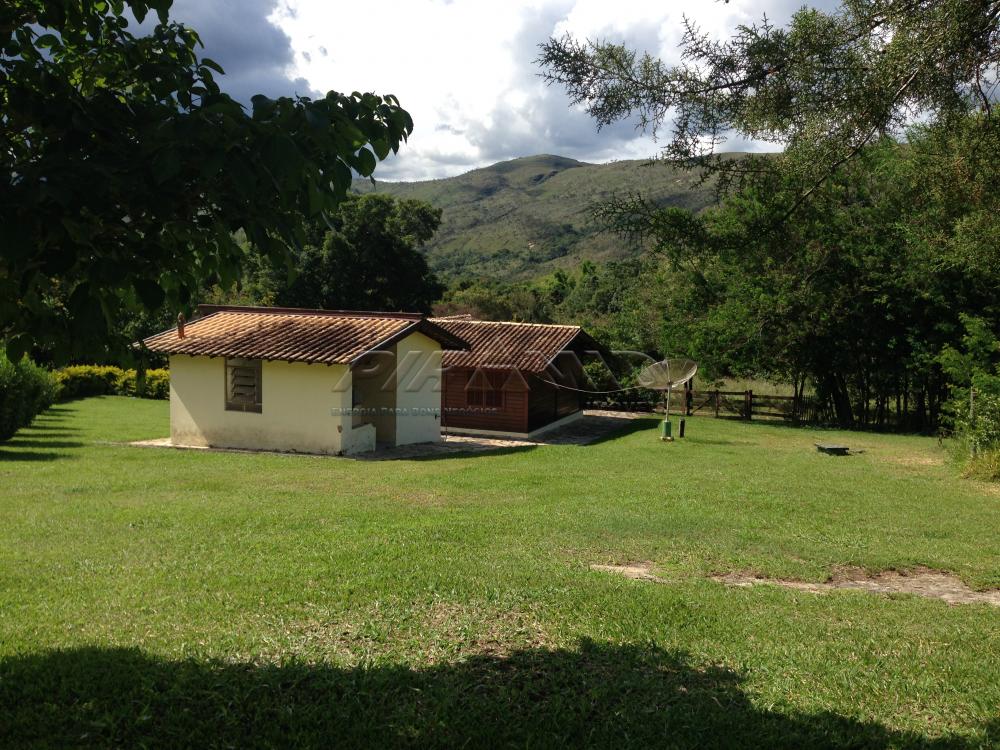 Comprar Rural / Fazenda em São João Batista do Glória apenas R$ 3.500.000,00 - Foto 4 Comprar Rural / Fazenda em São João Batista do Glória apenas R$ 3.500.000,00 - Foto 4