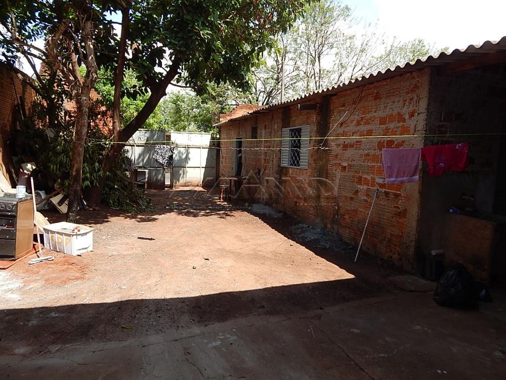 Alugar Casa / Padrão em Ribeirão Preto apenas R$ 900,00 - Foto 22 Alugar Casa / Padrão em Ribeirão Preto apenas R$ 900,00 - Foto 22