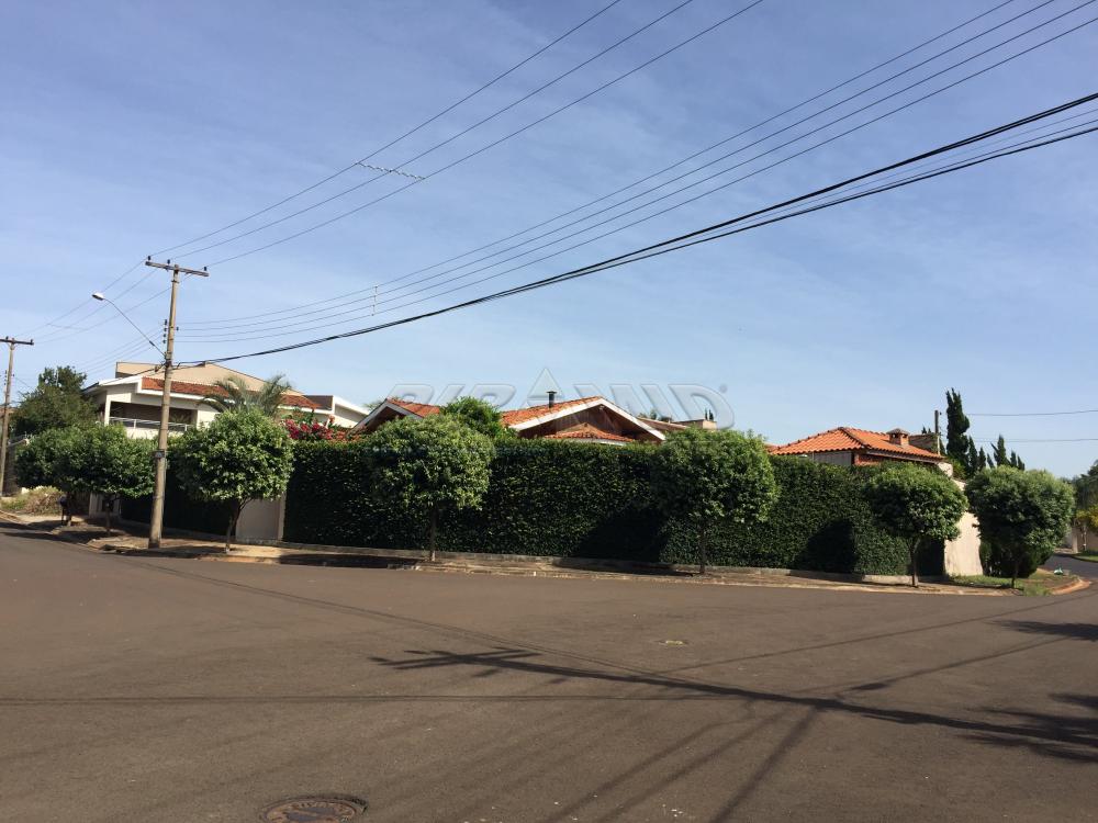 Comprar Casa / Padrão em Ribeirão Preto apenas R$ 650.000,00 - Foto 1 Comprar Casa / Padrão em Ribeirão Preto apenas R$ 650.000,00 - Foto 1