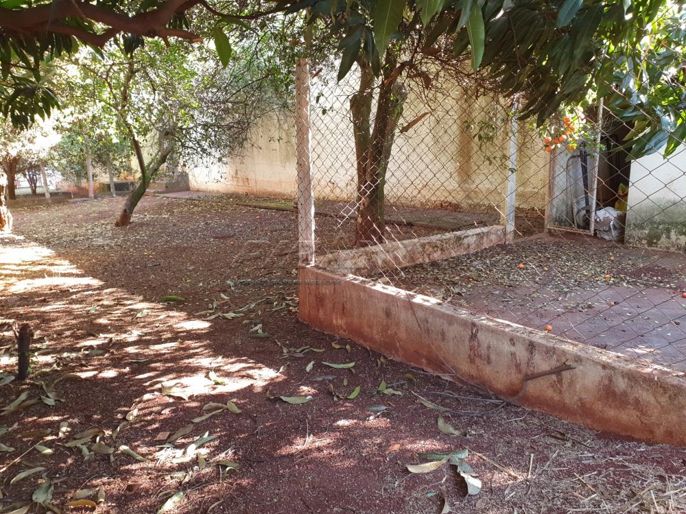 Comprar Casa / Padrão em Ribeirão Preto R$ 990.000,00 - Foto 36 Comprar Casa / Padrão em Ribeirão Preto R$ 990.000,00 - Foto 36