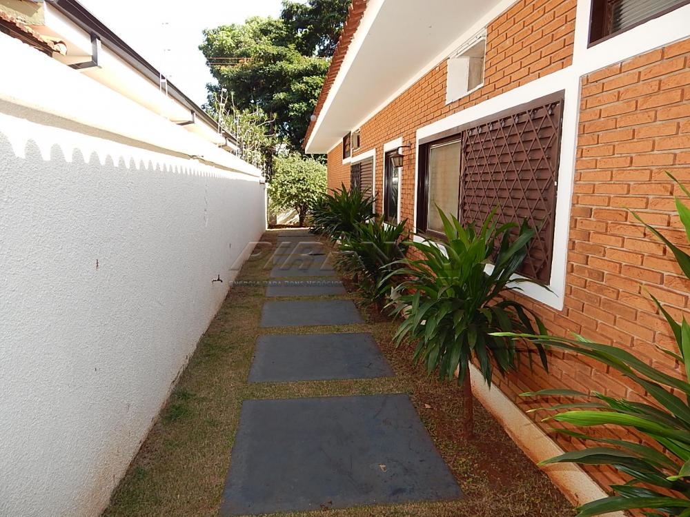 Alugar Casa / Padrão em Ribeirão Preto apenas R$ 4.000,00 - Foto 32 Alugar Casa / Padrão em Ribeirão Preto apenas R$ 4.000,00 - Foto 32