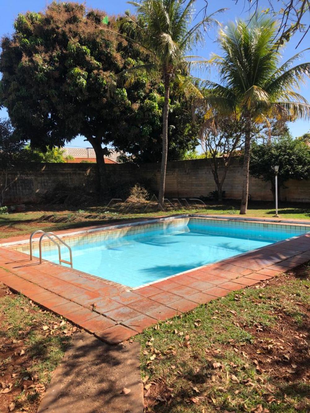 Comprar Casa / Padrão em Ribeirão Preto apenas R$ 450.000,00 - Foto 14 Comprar Casa / Padrão em Ribeirão Preto apenas R$ 450.000,00 - Foto 14