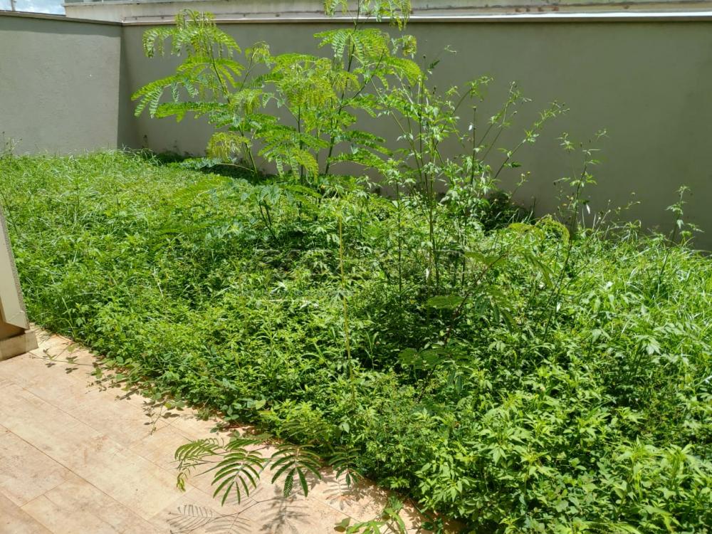 Comprar Casa / Condomínio em Bonfim Paulista apenas R$ 850.000,00 - Foto 17 Comprar Casa / Condomínio em Bonfim Paulista apenas R$ 850.000,00 - Foto 17
