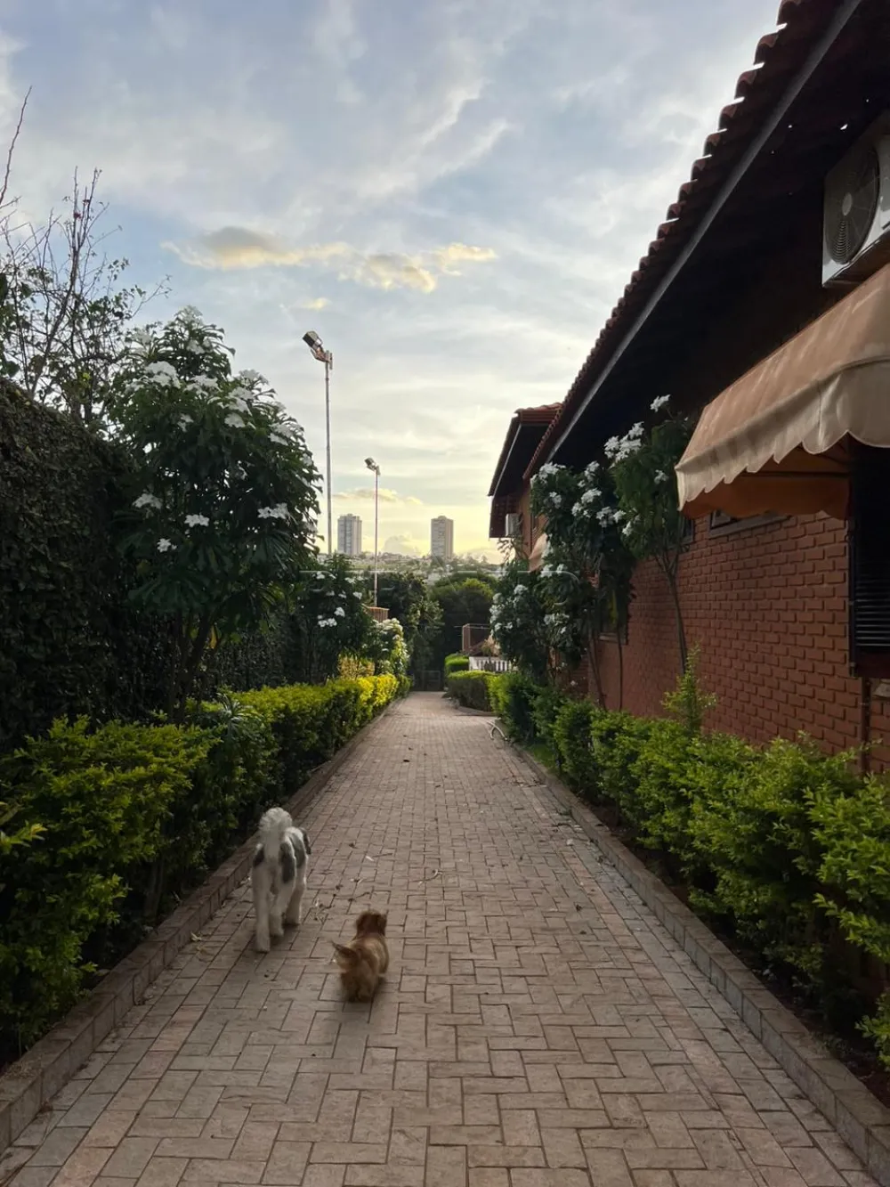 Comprar Casa / Condom&iacute;nio em Bonfim Paulista R$ 4.800.000,00 - Foto 36